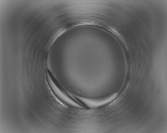 X0000056381377200509091704