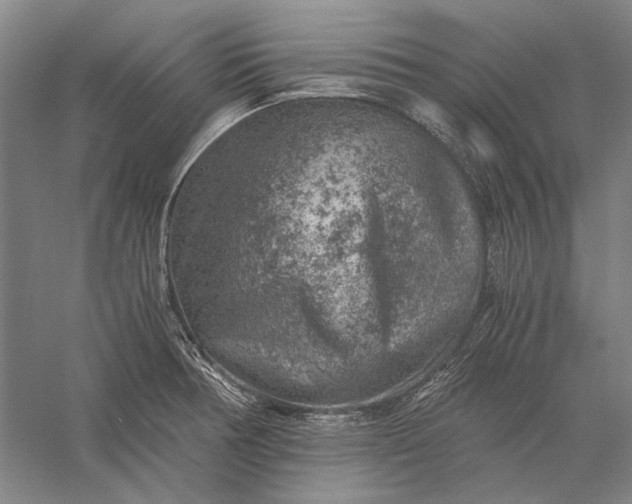 X0000056381378200509091704