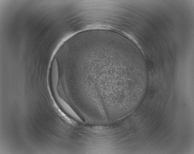 X0000056381379200509091704