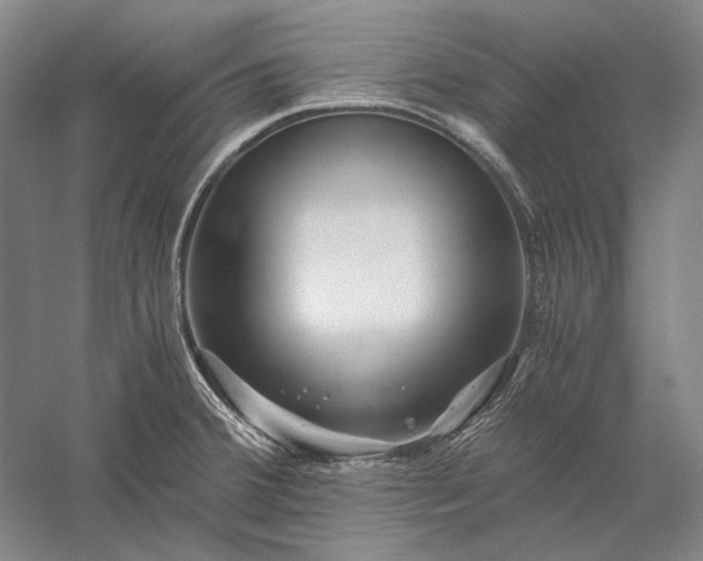 X0000056381380200509091704