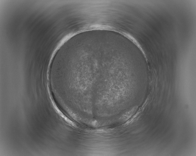 X0000056381381200509091704