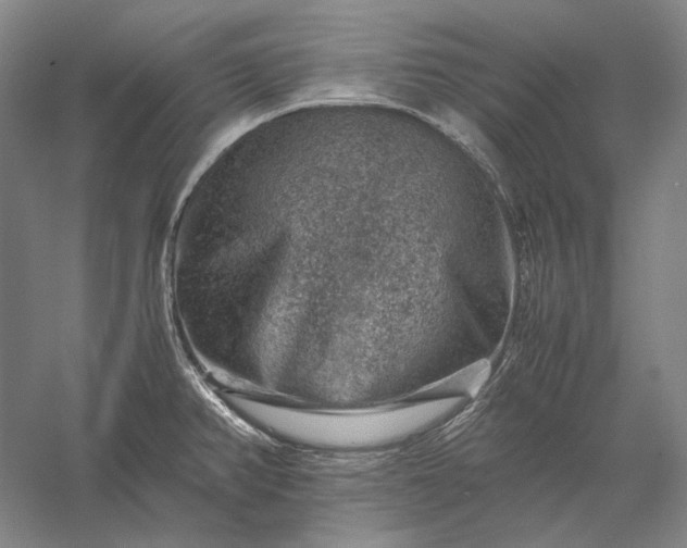 X0000056381382200509091704