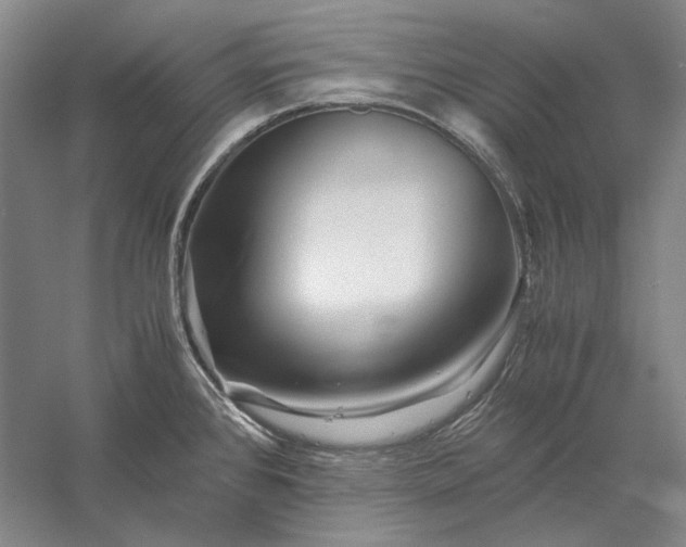 X0000056381384200509091704