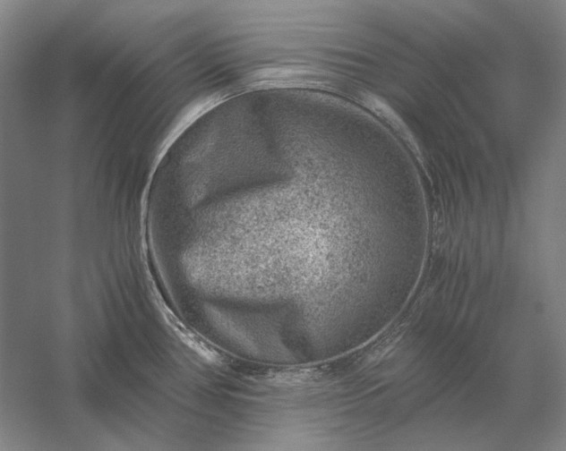 X0000056381386200509091703