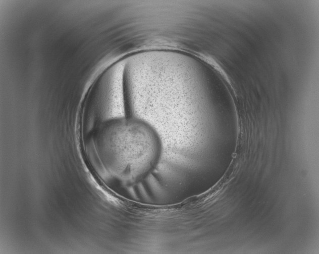 X0000056381387200509091703