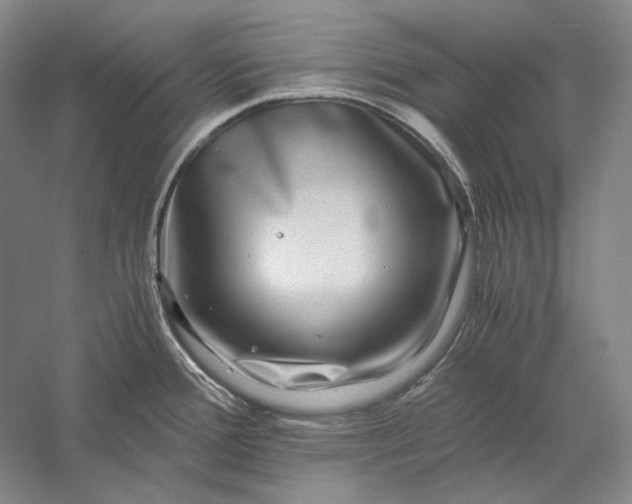 X0000056381388200509091703