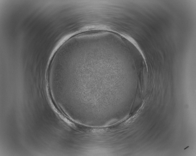 X0000056381389200509091703