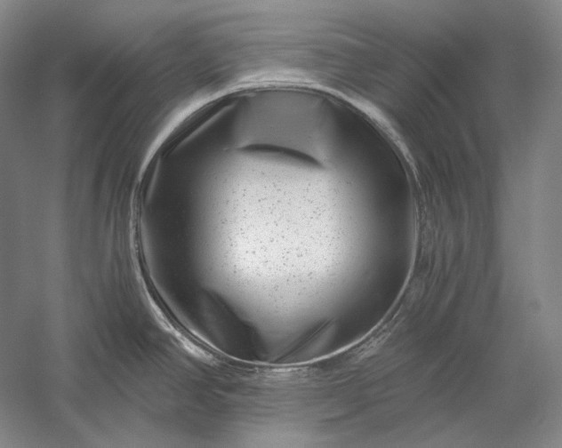 X0000056381390200509091703