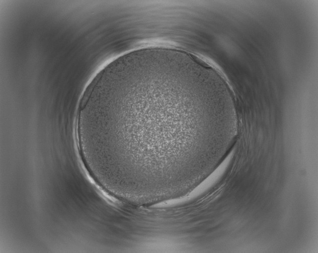 X0000056381391200509091703