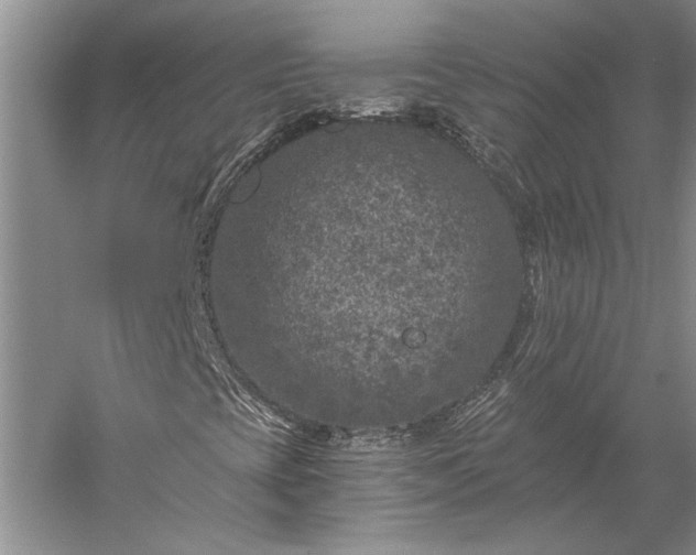 X0000056381393200509091703