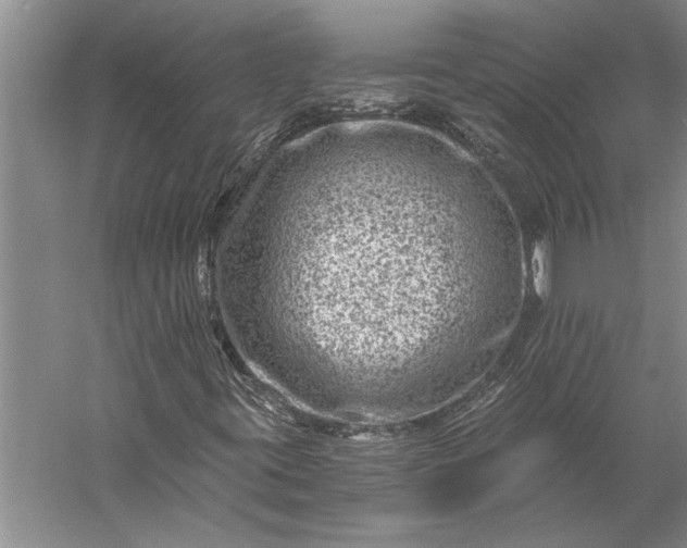 X0000056381395200509091703