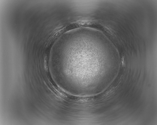 X0000056381396200509091703