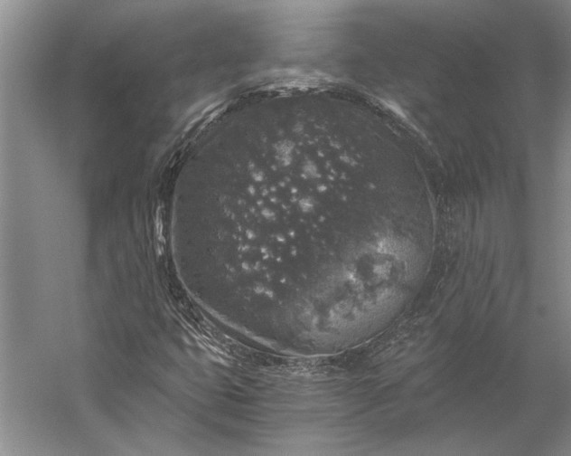 X0000056381399200509091703