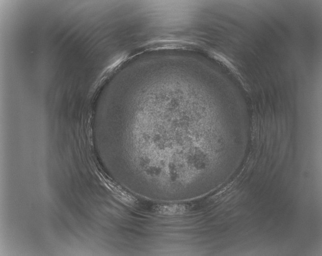 X0000056381403200509091703