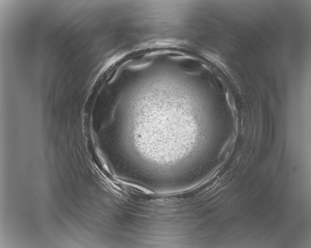 X0000056381404200509091703