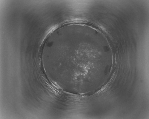 X0000056381405200509091703