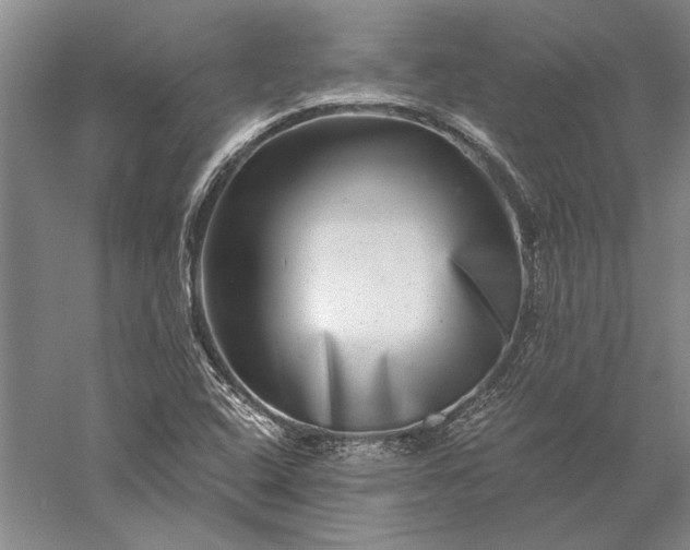 X0000056381408200509091703