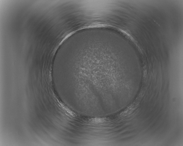 X0000056381409200509091703