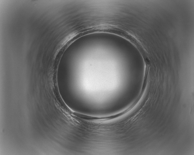 X0000056381410200509091703