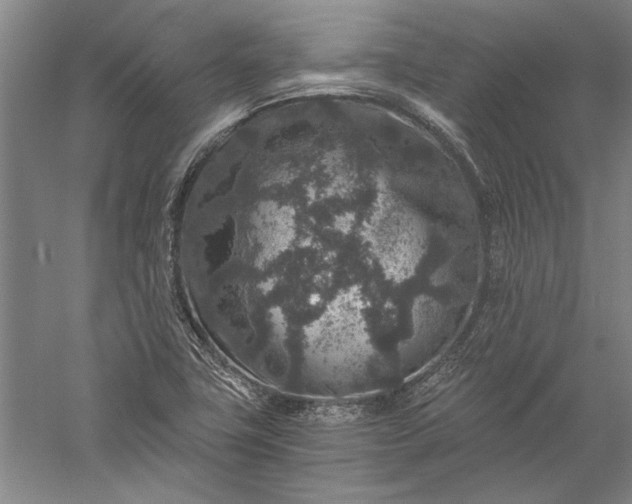 X0000056381411200509091703