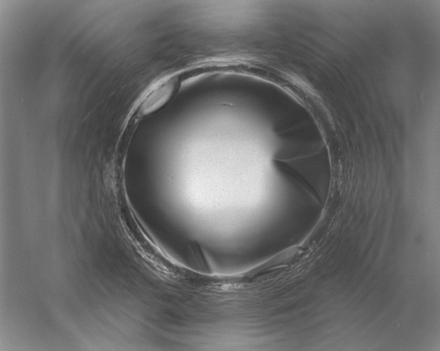 X0000056381412200509091703