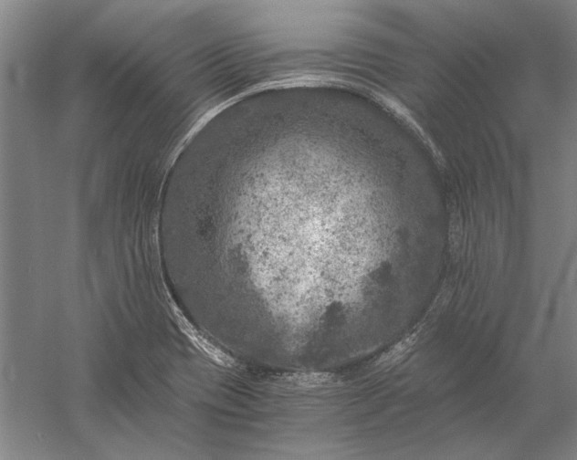 X0000056381417200509091703