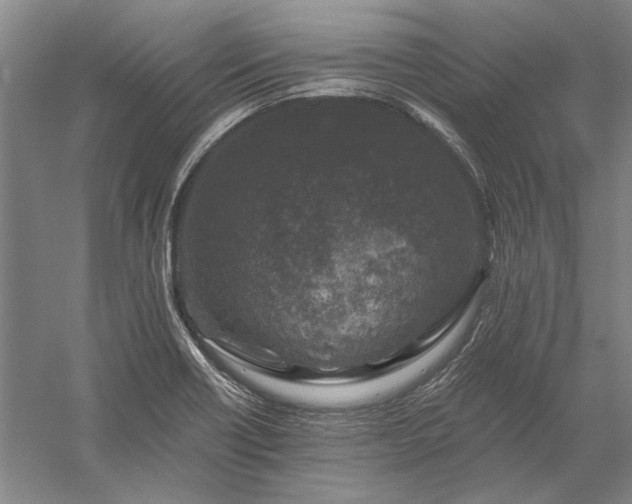 X0000056381418200509091703