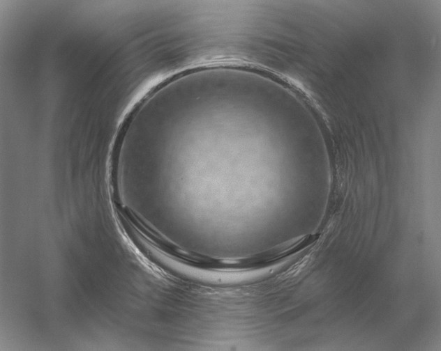 X0000056381422200509091703