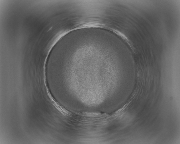 X0000056381423200509091703