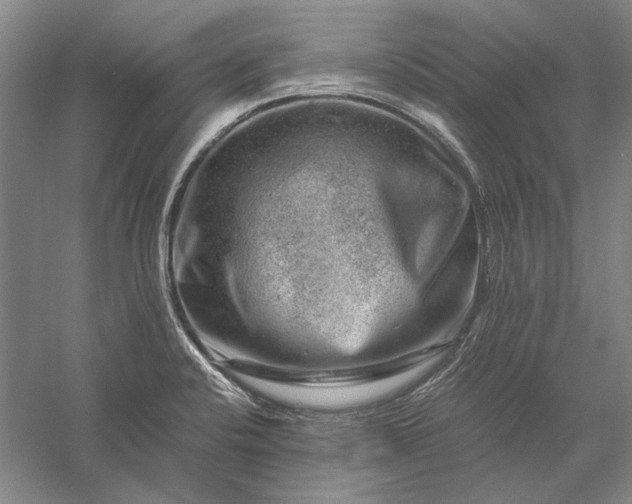 X0000056381424200509091703