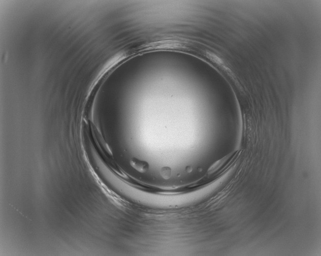 X0000056381426200509091703