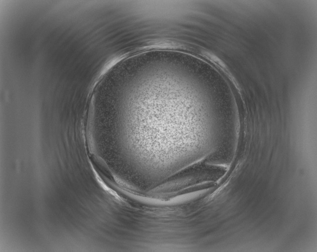 X0000056381433200509091703