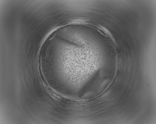 X0000056381435200509091703