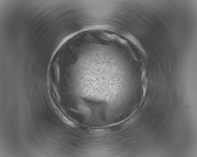 X0000056381436200509091703