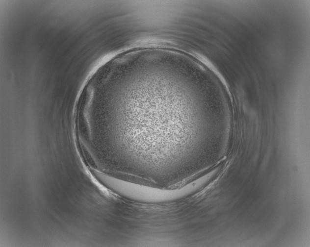 X0000056381437200509091703