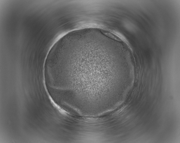 X0000056381439200509091703