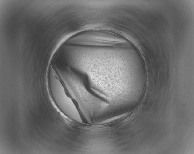 X0000056381440200509091703