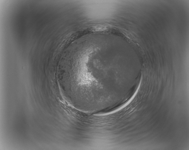 X0000056381441200509091703