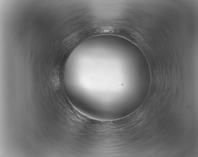 X0000056381442200509091703