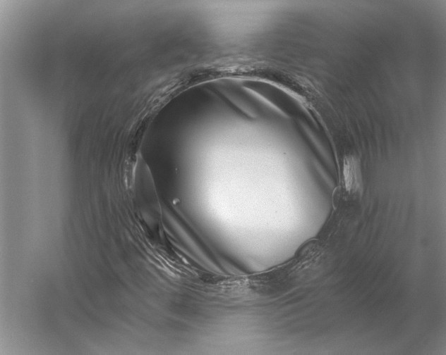 X0000056381444200509091703