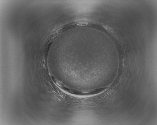 X0000056381445200509091702