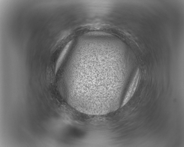 X0000056381446200509091702