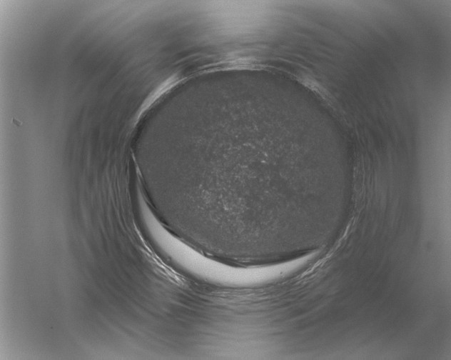 X0000056381450200509091702