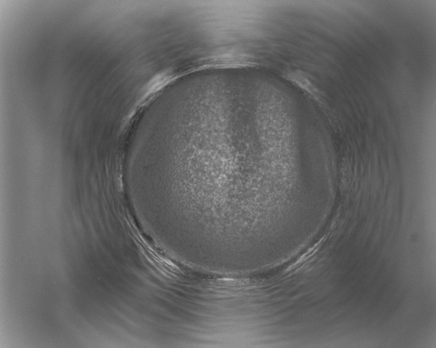 X0000056381451200509091702