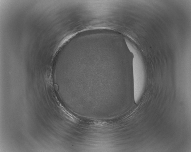 X0000056381452200509091702