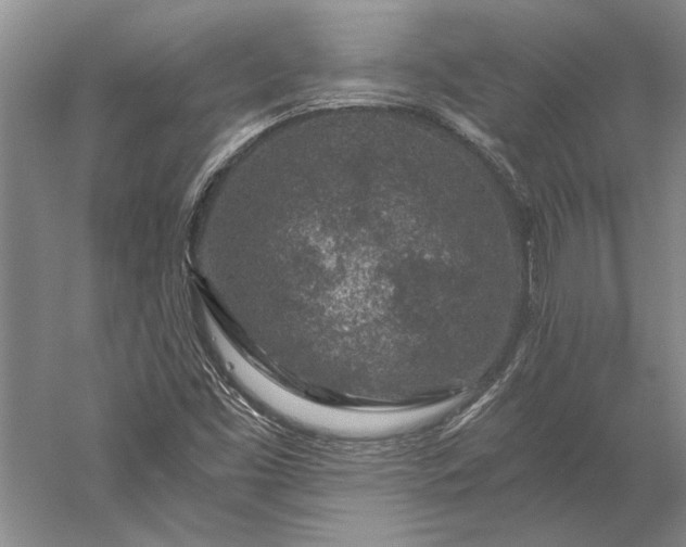 X0000056381453200509091702