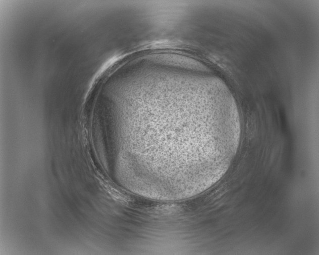 X0000056381454200509091702