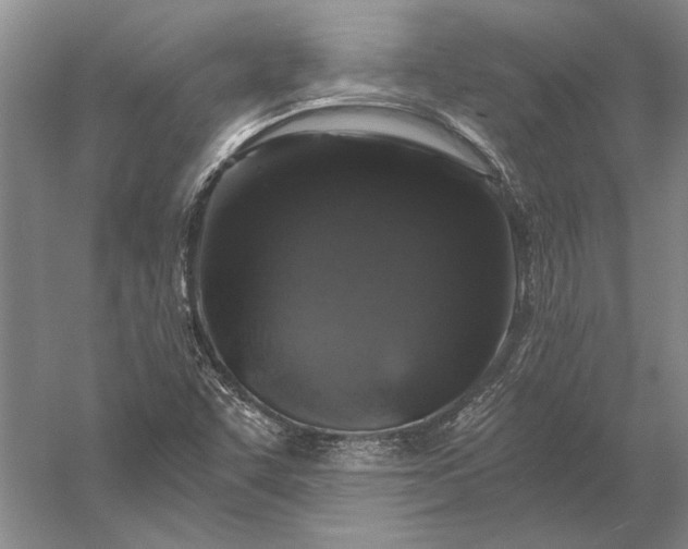 X0000056381455200509091702