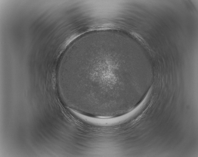 X0000056381457200509091702