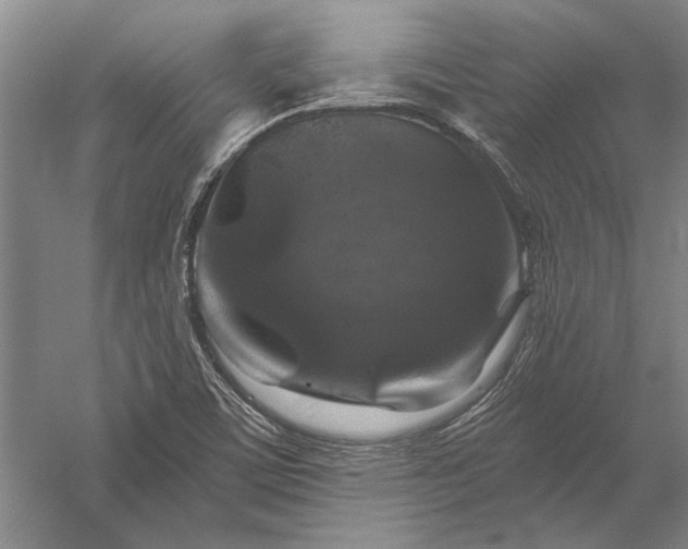 X0000056381459200509091702